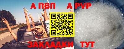 ешки Кингисепп