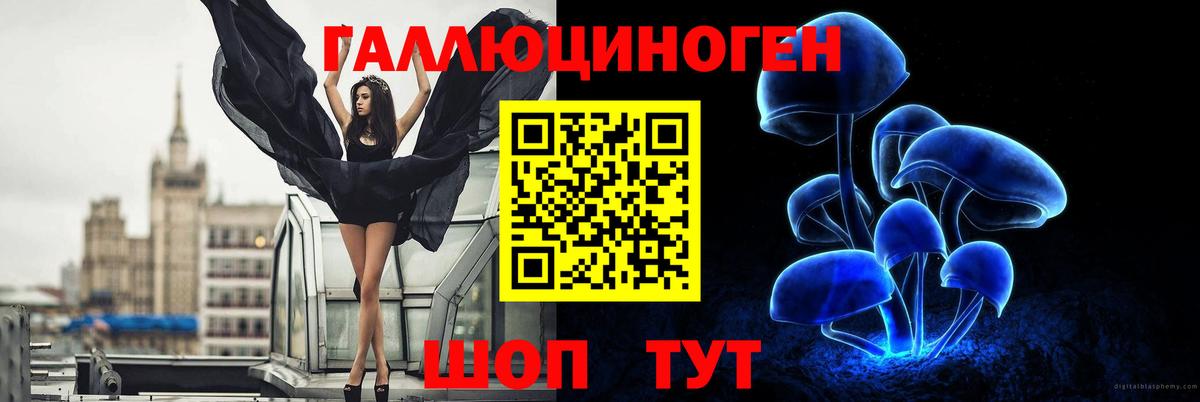 Псилоцибиновые грибы ЛСД  Вход с VPN  купить наркоту  Кохма 